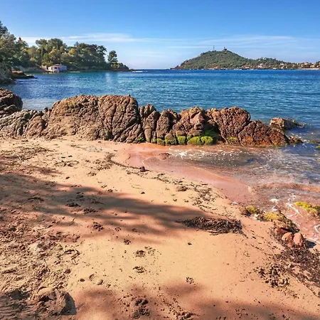 Appartamento Cosy à 200m De La Mer!